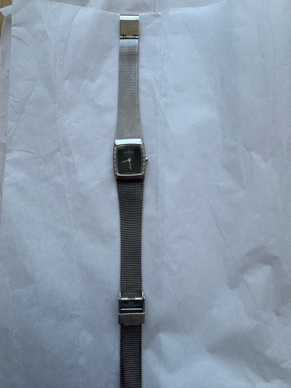 Skagen Denmark Platinum Plated Crystal Accent Mesh Watch